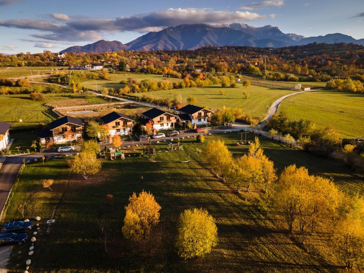 Green Resort Bran Bran  Buitenkant foto