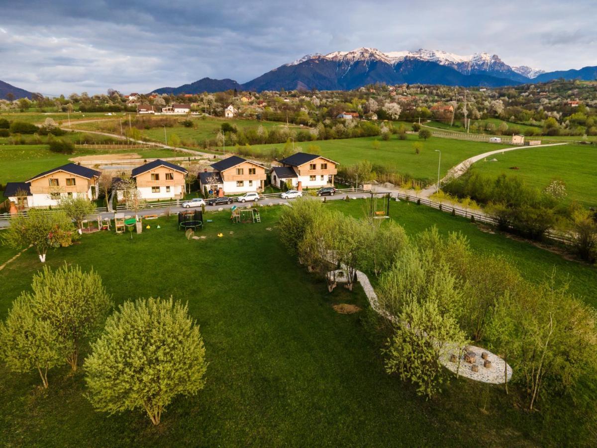Green Resort Bran Bran  Buitenkant foto