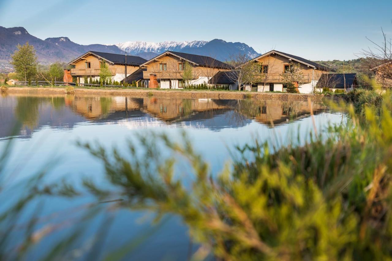 Green Resort Bran Bran  Buitenkant foto
