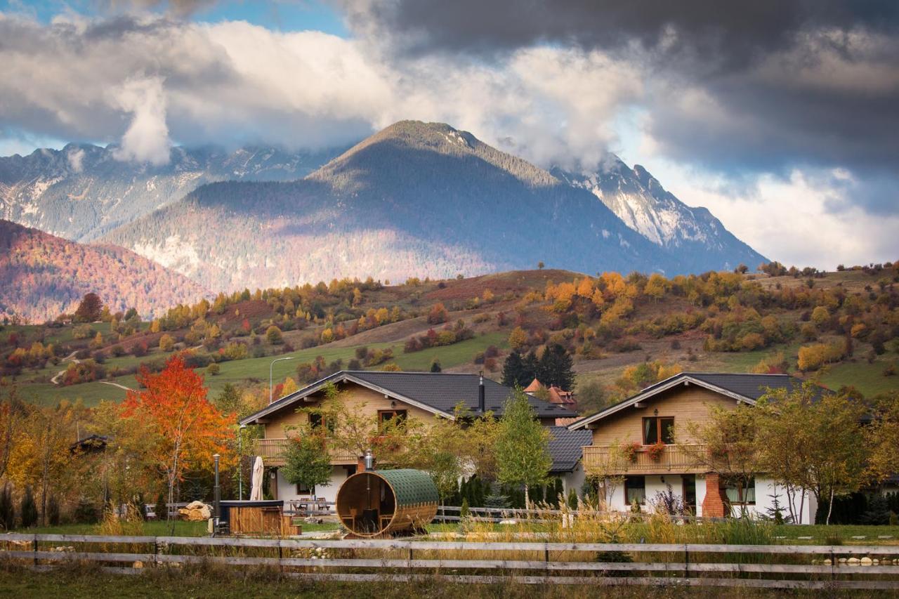 Green Resort Bran Bran  Buitenkant foto