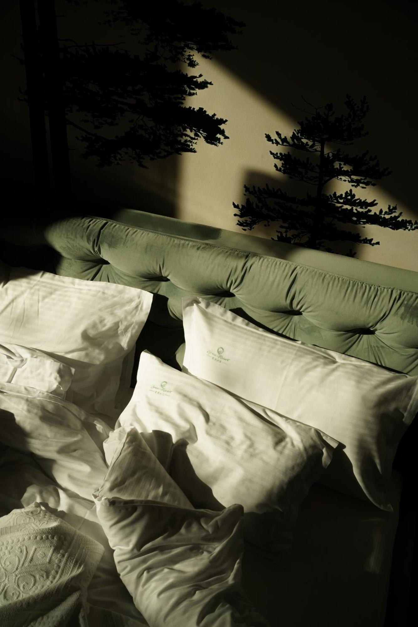 Green Resort Bran Bran  Buitenkant foto