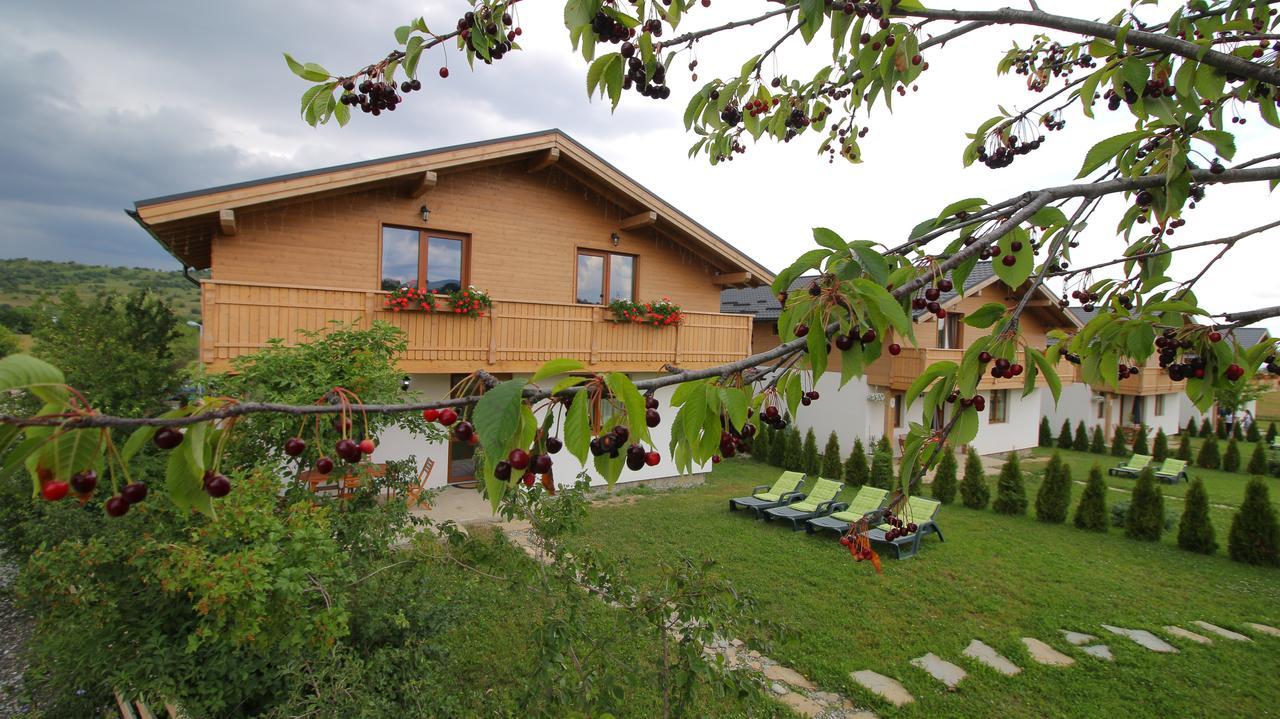 Green Resort Bran Bran  Buitenkant foto